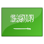 saudi_arabia.png